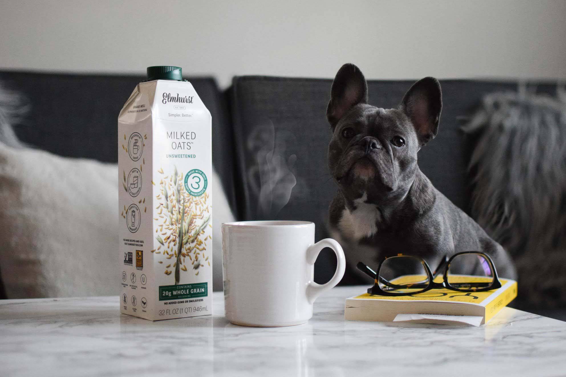 The 8 Best Oat Milk Brands | VegOut