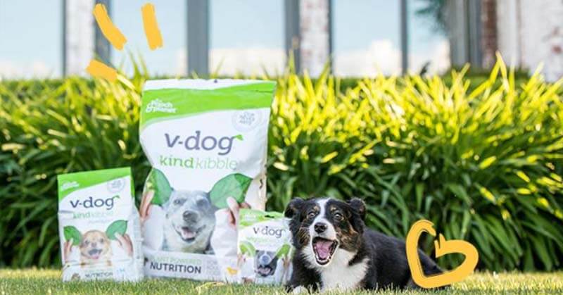 9 Vegan Dog Food Brands Your Pup Will Love Vegout