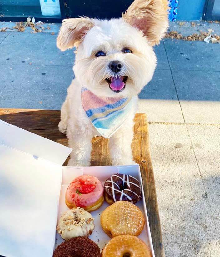 Donut Friend