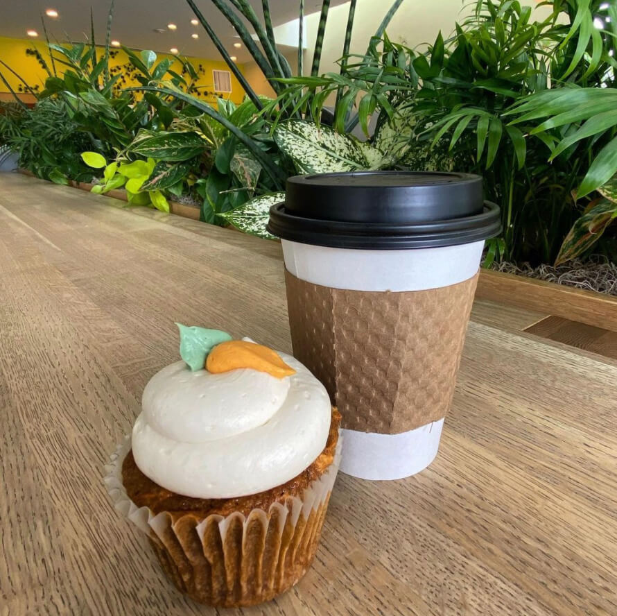 10 Best Vegan Coffee Shops In America Vegout