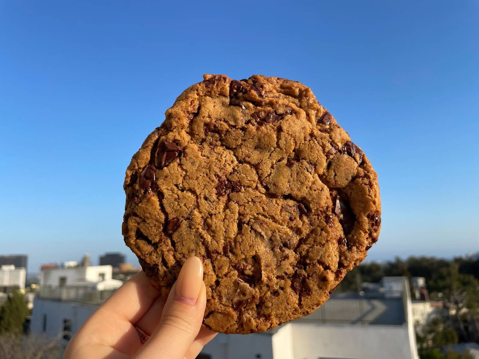 New York Times Vegan Chocolate Chip Cookie Recipe