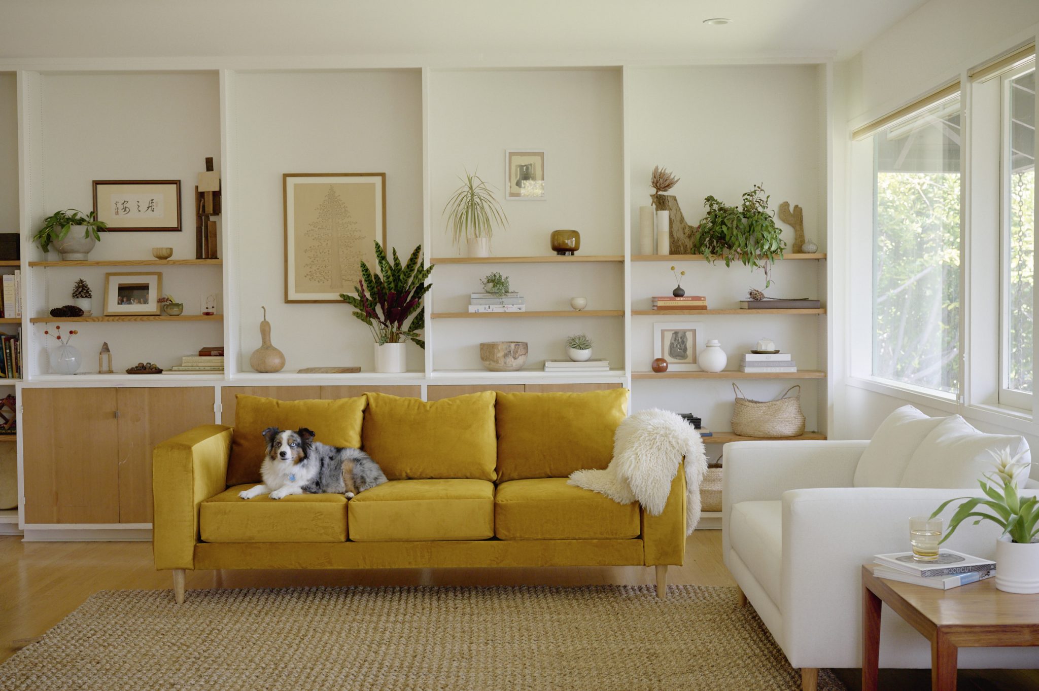 The Best Vegan Furniture for Your Home