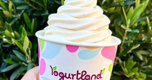 Yogurtland