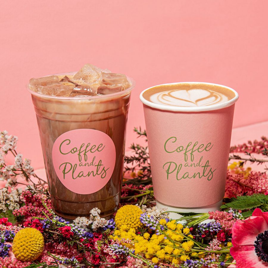The Best Vegan Coffee Shops Across the US