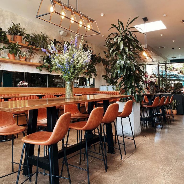 Best Upscale Vegan Restaurants Across the US