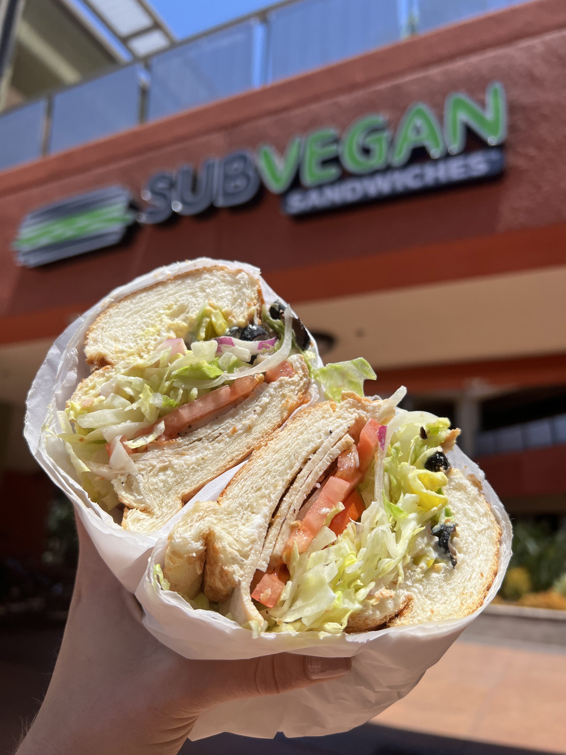 Sub Vegan Sandwiches