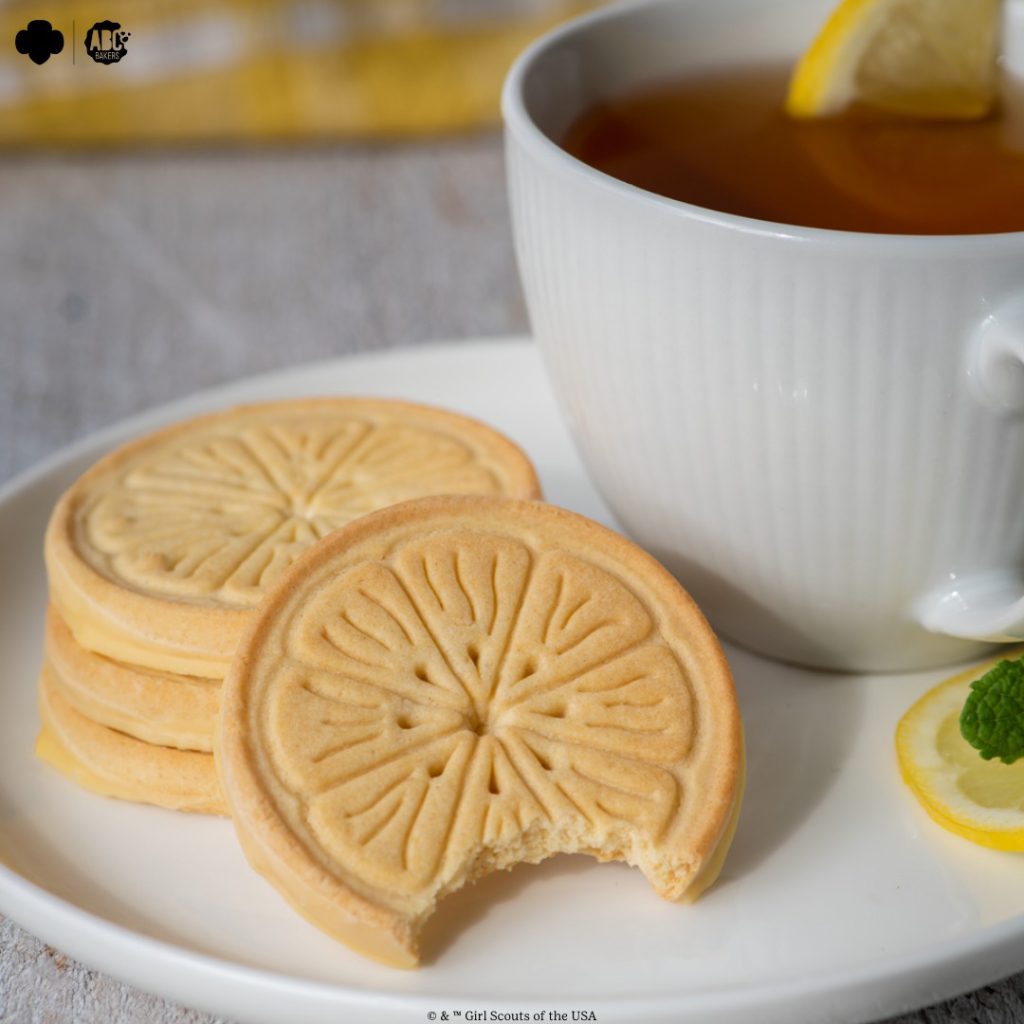 2024 Guide to Vegan Girl Scout Cookies