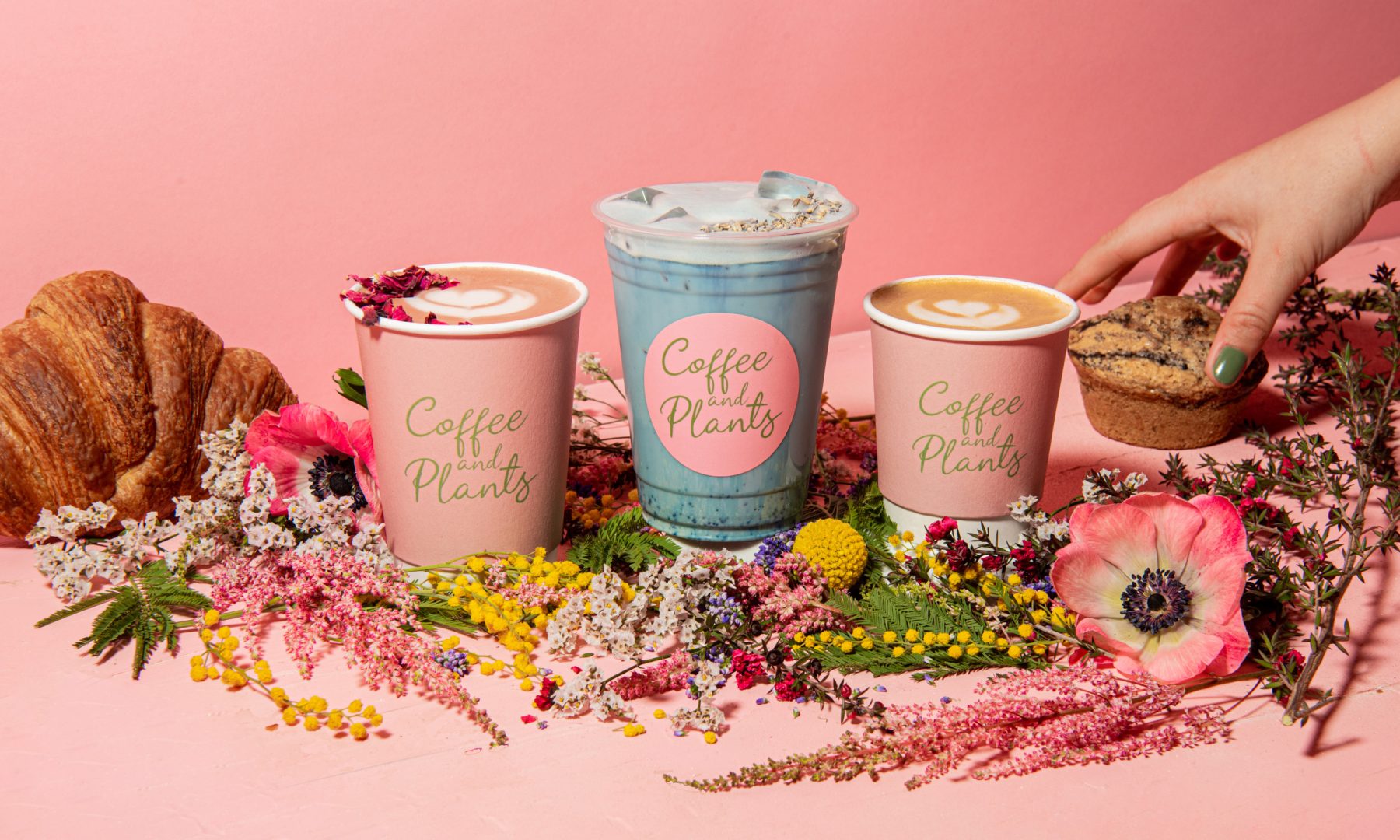 Leona Lewis’ Vegan Coffee Shop Expands to Studio City VegOut