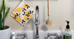 Papaya reusable paper towel in kitchen