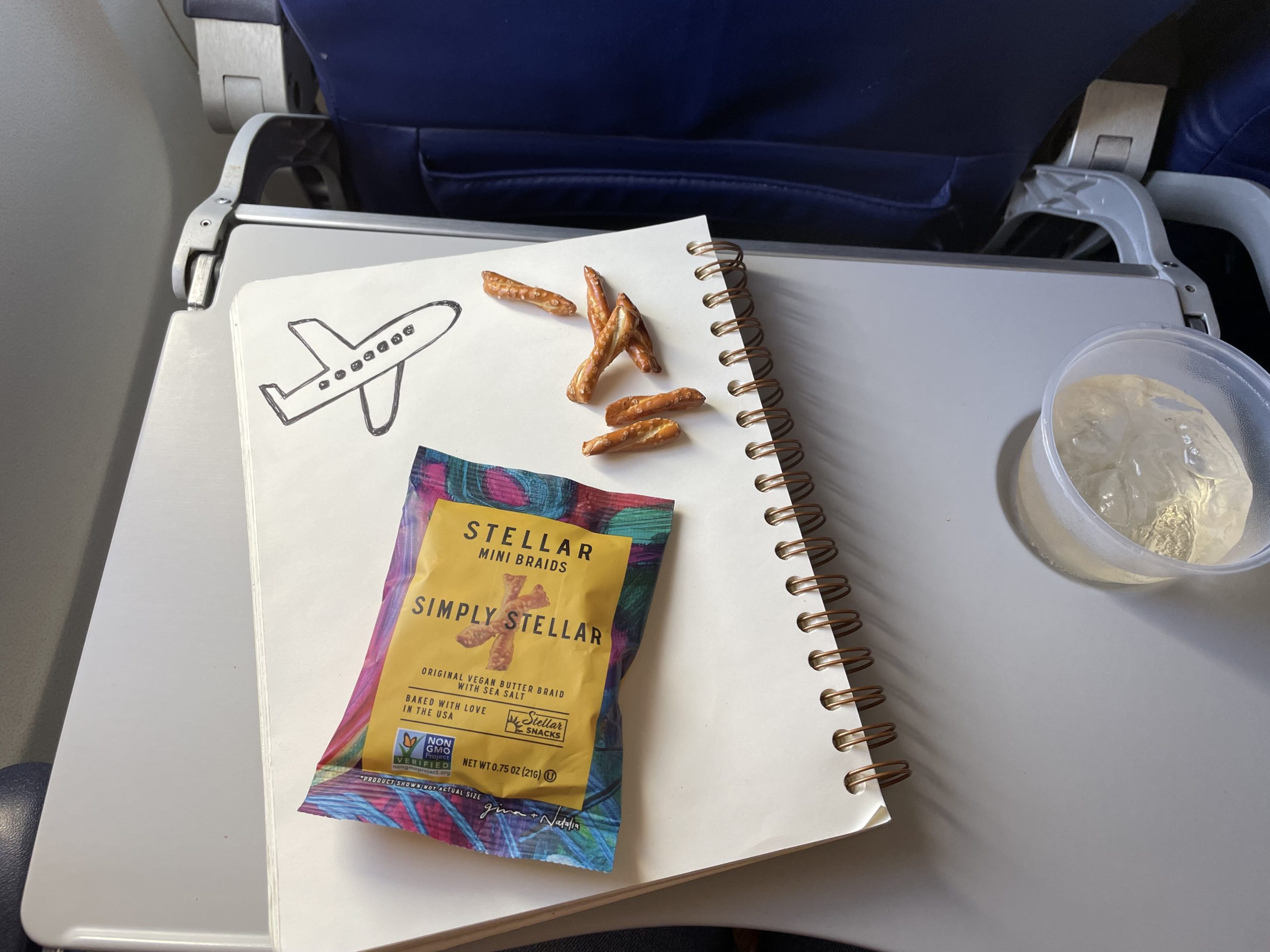 Stellar snacks on plane tray with drawing of plane