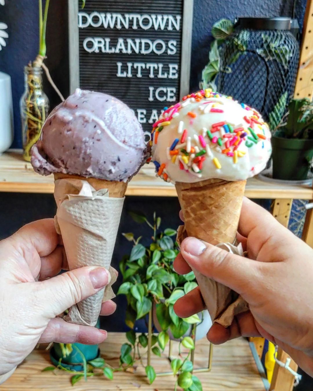 Two people holding vegan ice cream from The Greenery Creamery