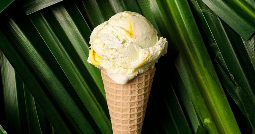 Vegan ice cream cone from Bi-Rite Creamery