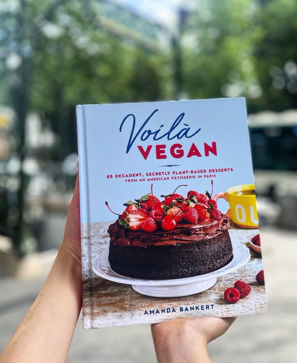 Person holding Voila Vegan cookbook