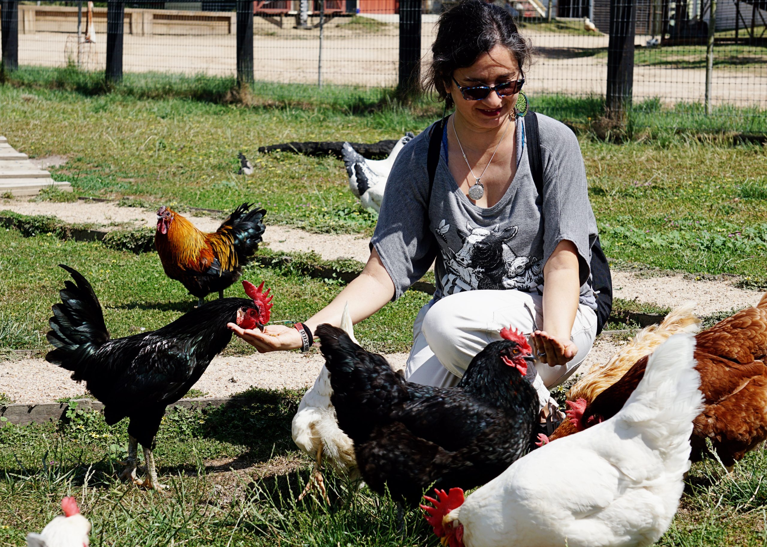 Lauren Ornelas with chickens