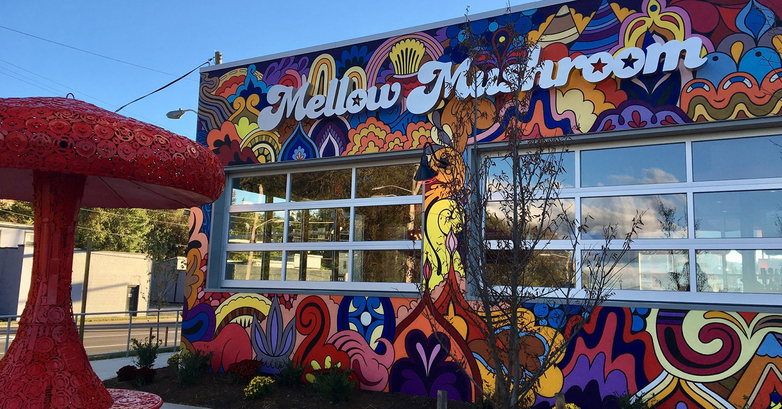 The mellow online mushroom