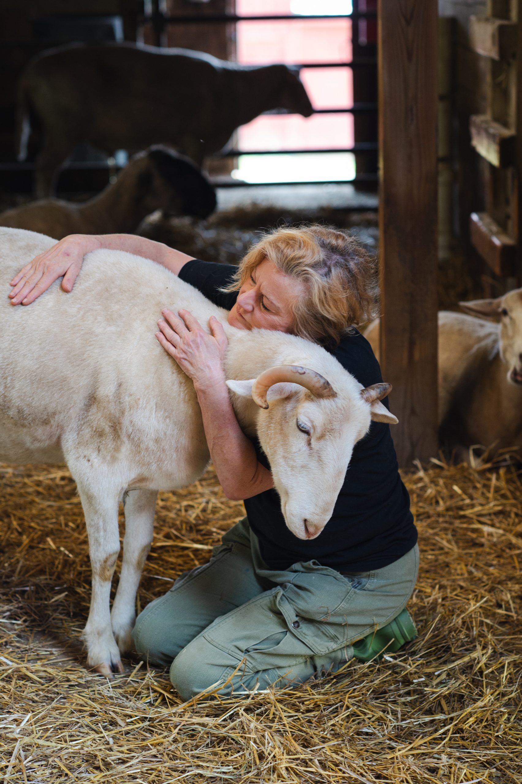 Farm Sanctuary