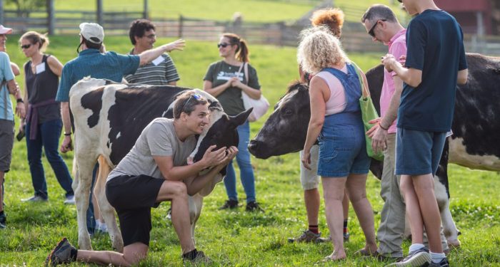 Farm Sanctuary