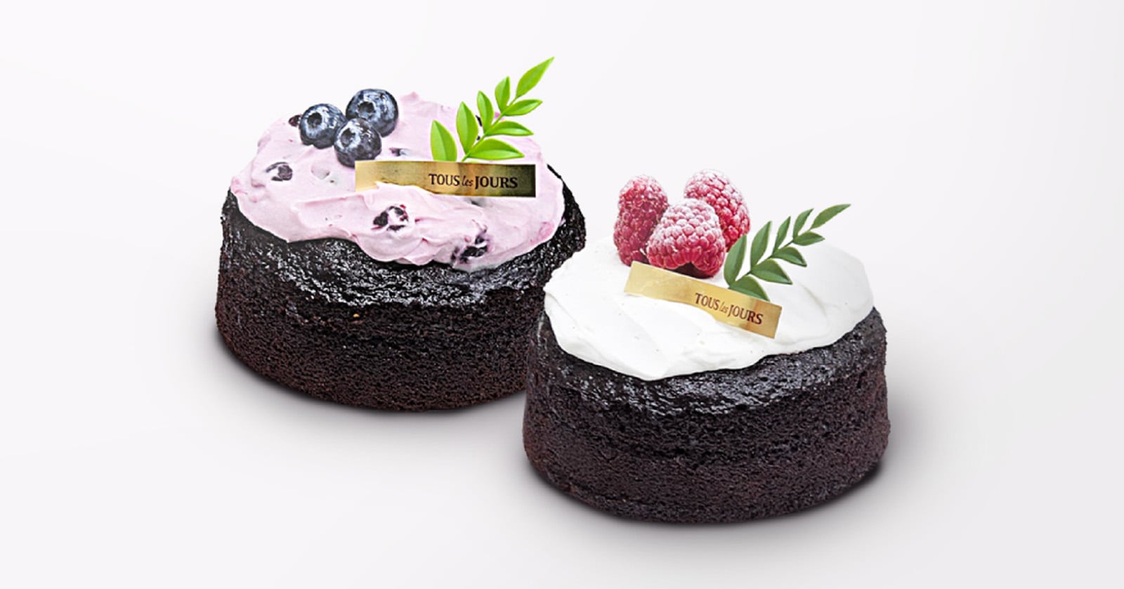 TOUS les JOURS Debuts Plant-Based Cakes