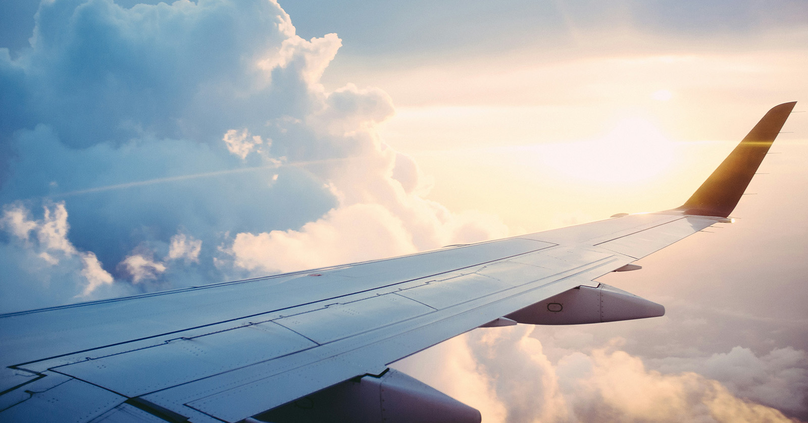 How to Maintain Your Plant-Based Diet While Traveling