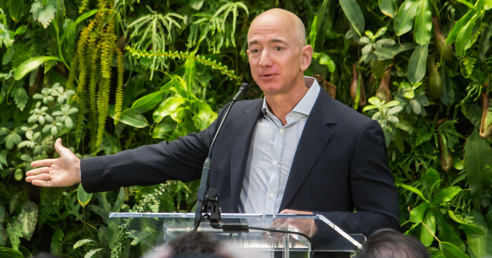 Jeff Bezos expands climate philanthropy with $100 million investment in alternative protein research