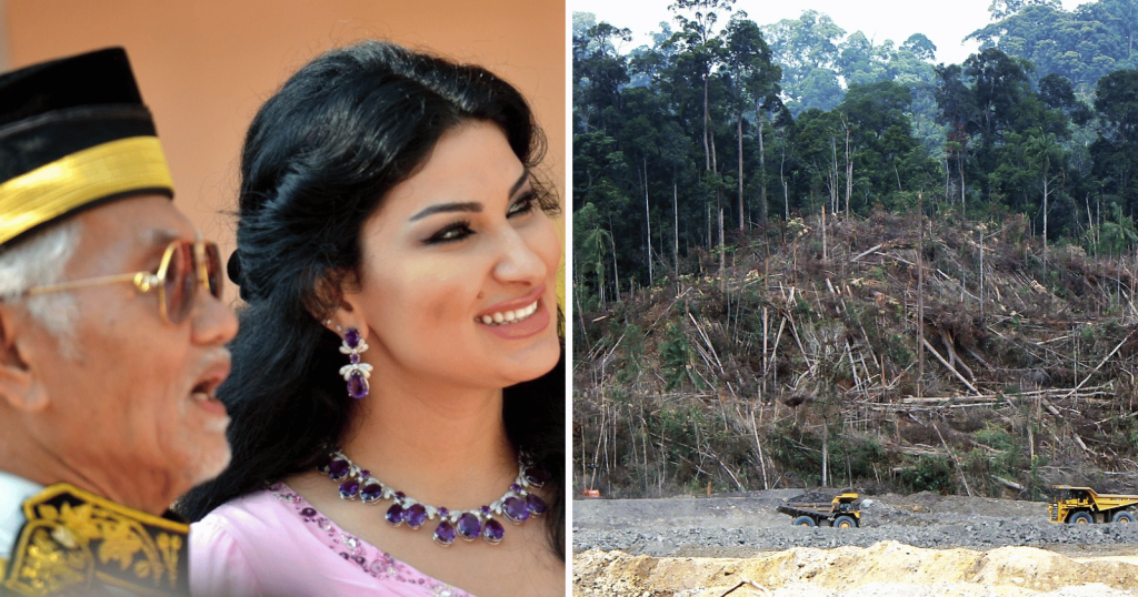 How one family made $21 billion destroying the world's oldest rainforest—and they're still fighting over the money