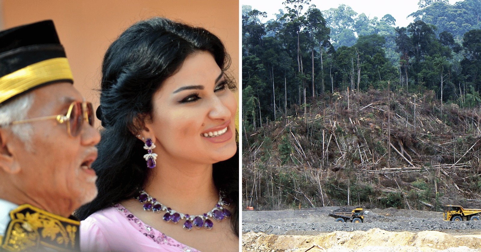How one family made $21 billion destroying the world's oldest rainforest—and they're still fighting over the money