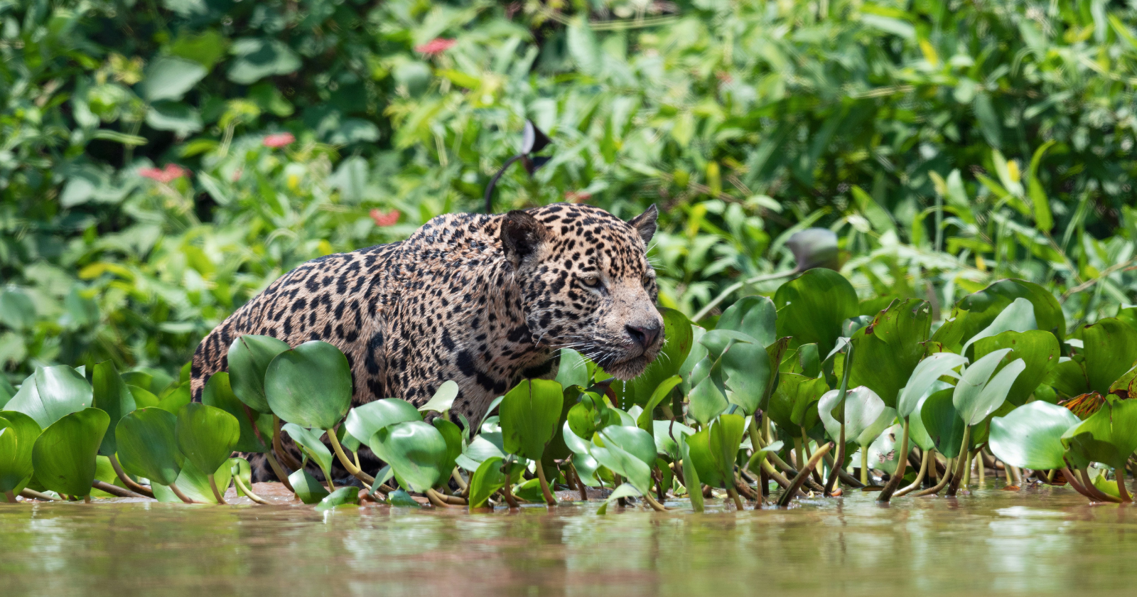 10 breathtaking places you need to see before they’re ruined by mass