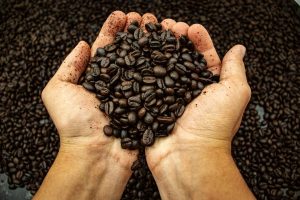 Climate change is quietly redrawing the global coffee map, and your morning cup is already affected