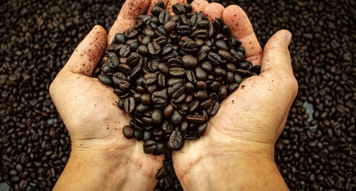 Climate change is quietly redrawing the global coffee map, and your morning cup is already affected