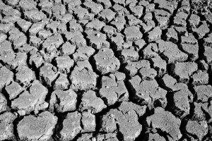 Climate scientists are now modeling food security scenarios for 2040 and the projected shortfalls are hitting wealthy nations too