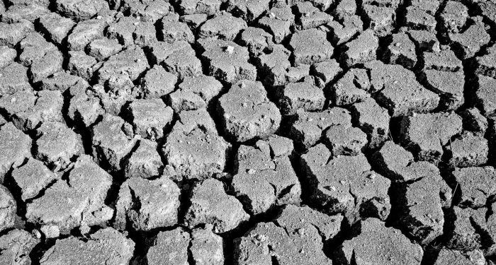 Climate scientists are now modeling food security scenarios for 2040 and the projected shortfalls are hitting wealthy nations too