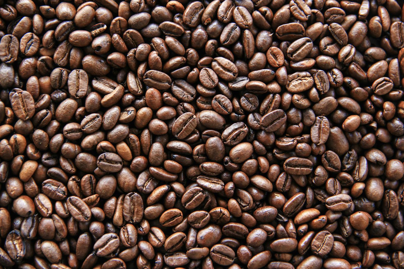 coffee beans roasting