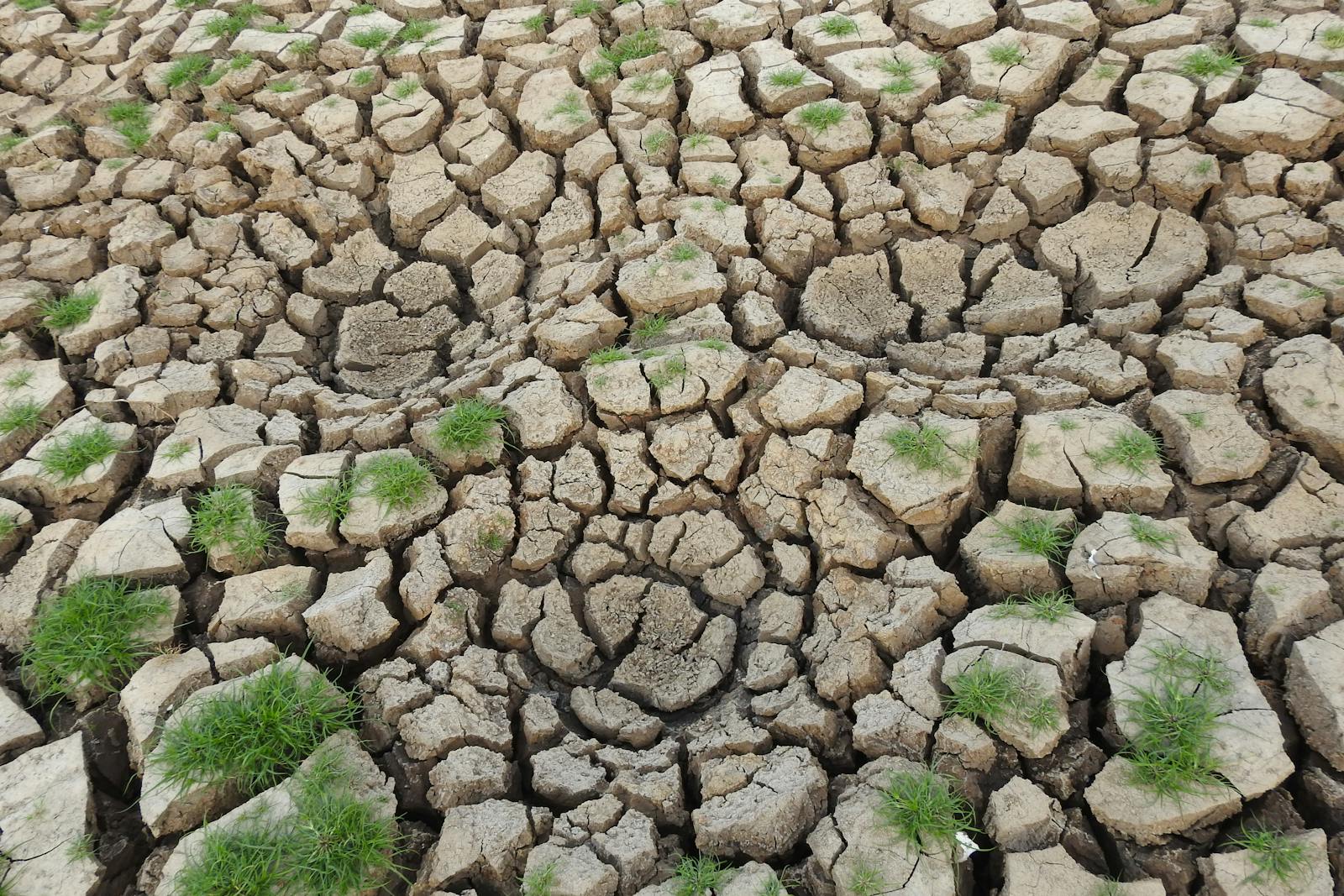 cracked dry soil agriculture