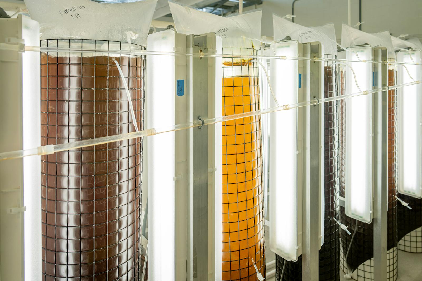 fermentation bioreactor lab