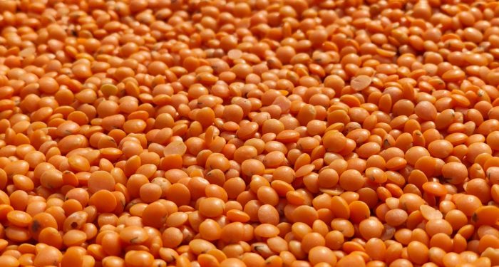 Scientists mapped what 2 billion people will eat by 2050 and the biggest protein source isn't what you'd expect