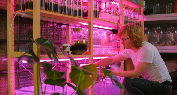 Singapore is now approving cultivated meat products faster than any other country and traditional meat lobbies are scrambling