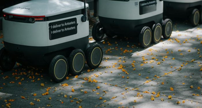 The Future of Food Isn't Just Plant-Based — It's Fungal, Fermented, and Lab-Grown