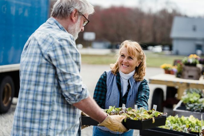 Smiling elderly couple in a garden exchanging seedling trays with vibrant plants.