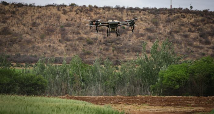 AI just solved a high-level math problem no human could crack, and food scientists say it will reshape how we grow crops by 2030