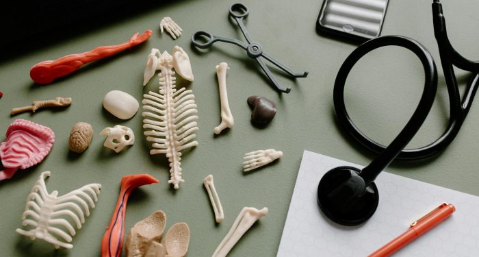 Benedict's Law: England mandates allergy training for all school staff after 5-year-old's death