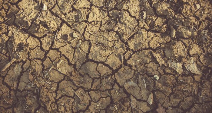 Climate scientists are now modeling a future where the Midwest grows avocados and Florida can't grow oranges