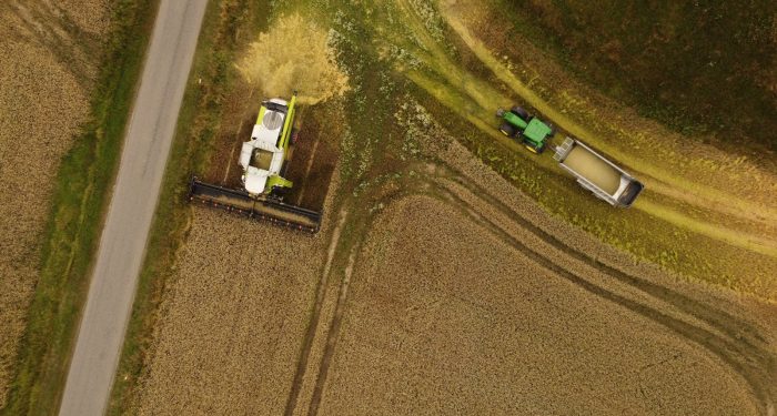 Denmark's new carbon tax on farming kicks in next year, and small dairy producers are already selling off herds