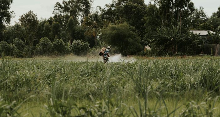 Facing 8,000 lawsuits, Syngenta will stop producing the herbicide linked to Parkinson's disease