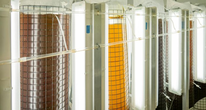 Fermentation startups raised billions — now most of them can't find a manufacturer