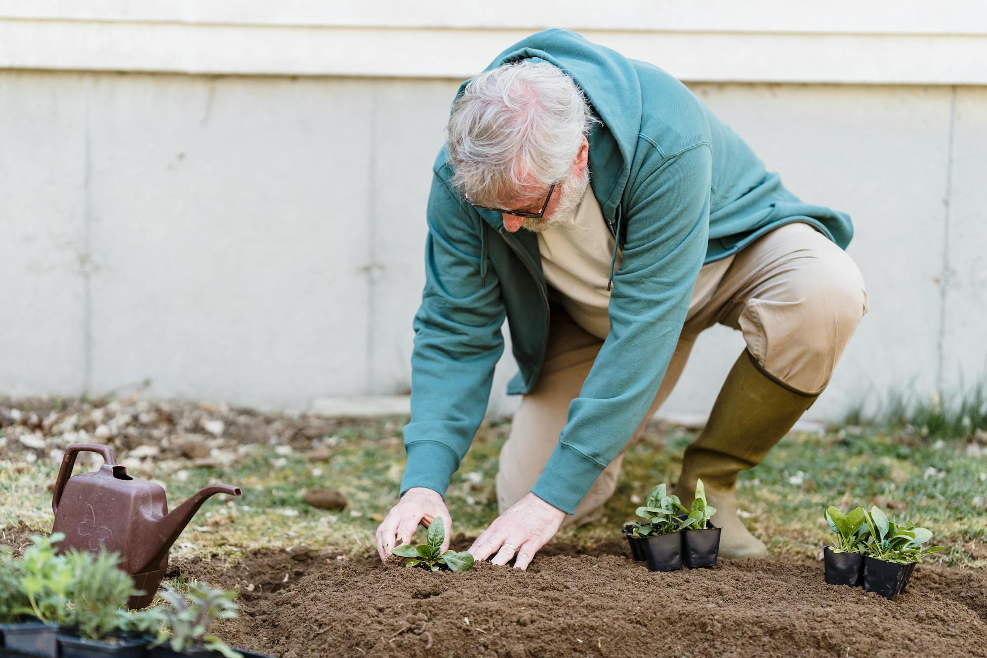 An elderly man enjoys gardening by planting seedlings in his yard.