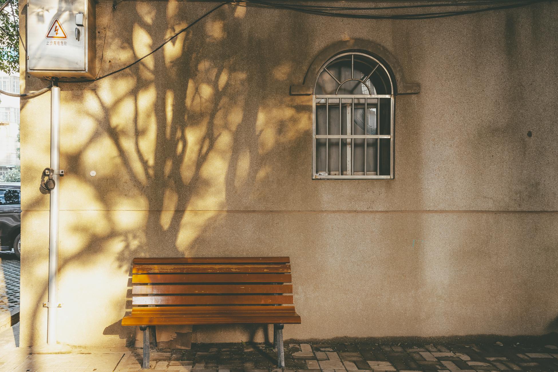 A serene city scene featuring a bench and shadowy tree image on a wall.