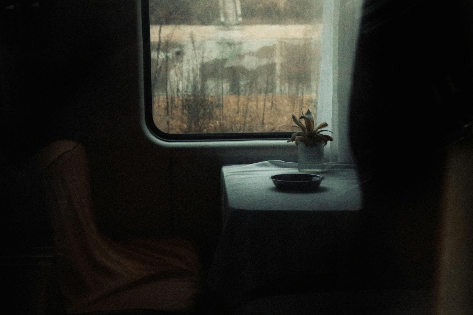 A serene and moody interior showing a table by a window with a potted plant.