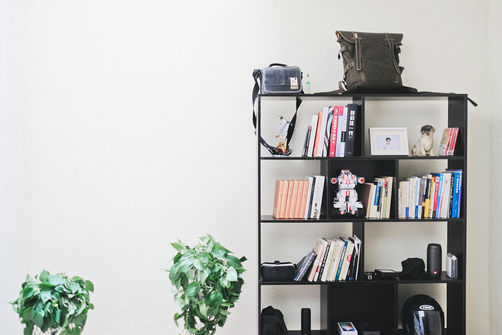 Stylish interior featuring a modern bookshelf with books, decor, and potted plants against a neutral background.