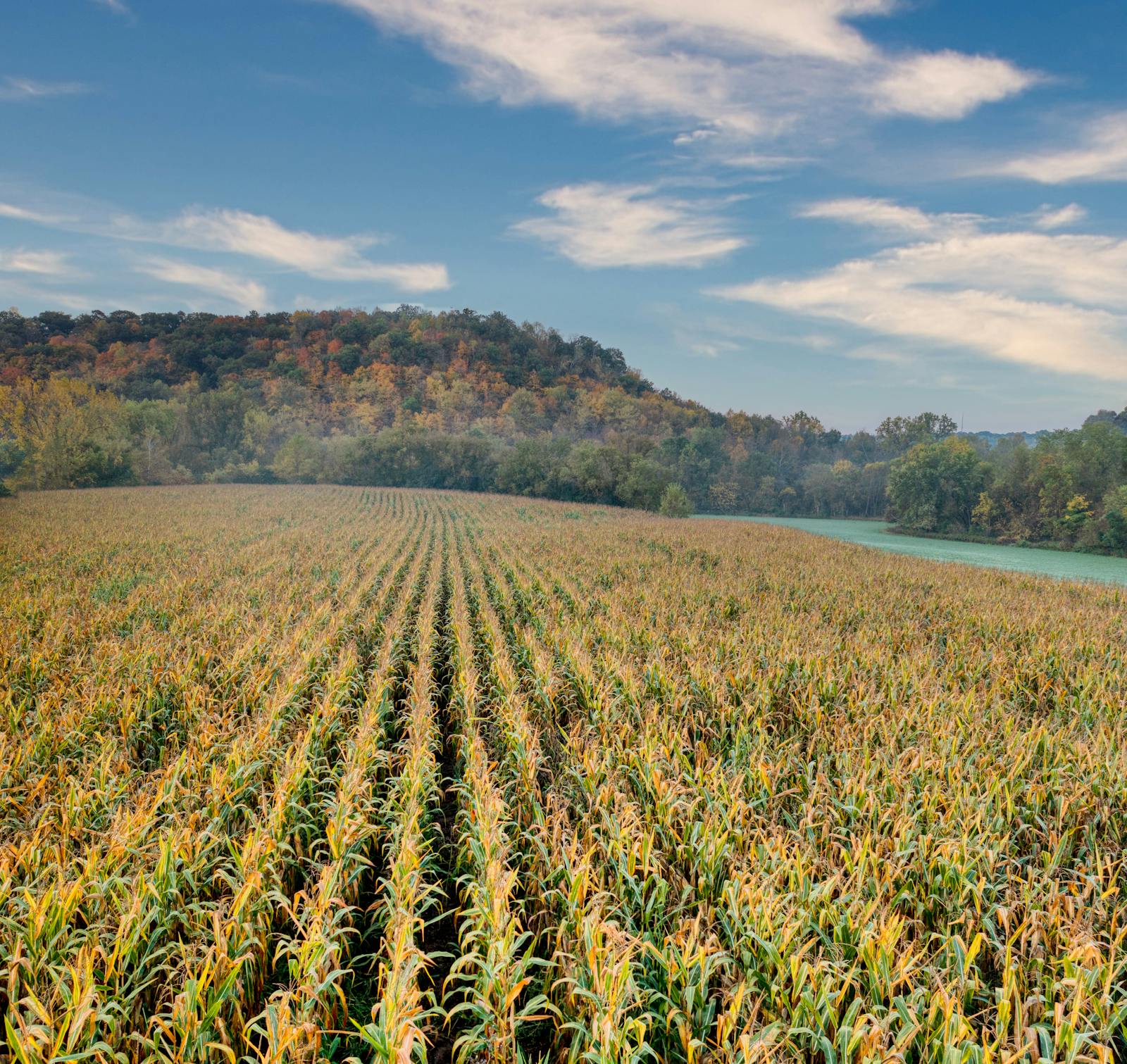 midwest farm landscape
