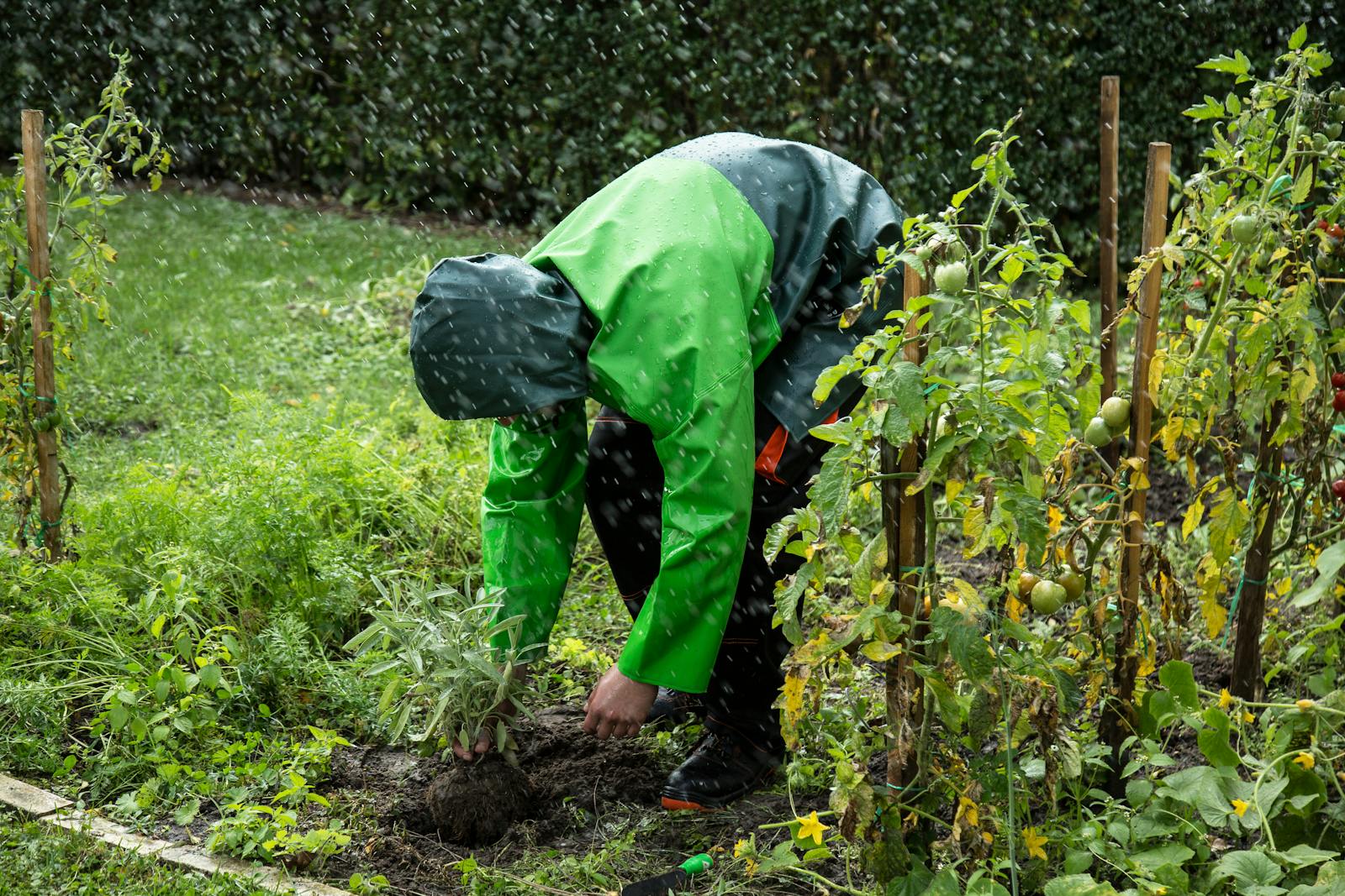person gardening outdoors